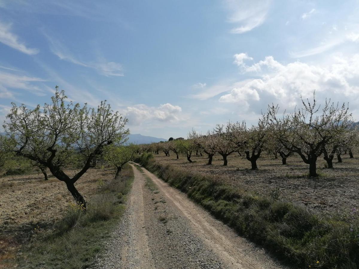 Habitaciones En Finca Olivo Y Almendro Ucenda Kültér fotó