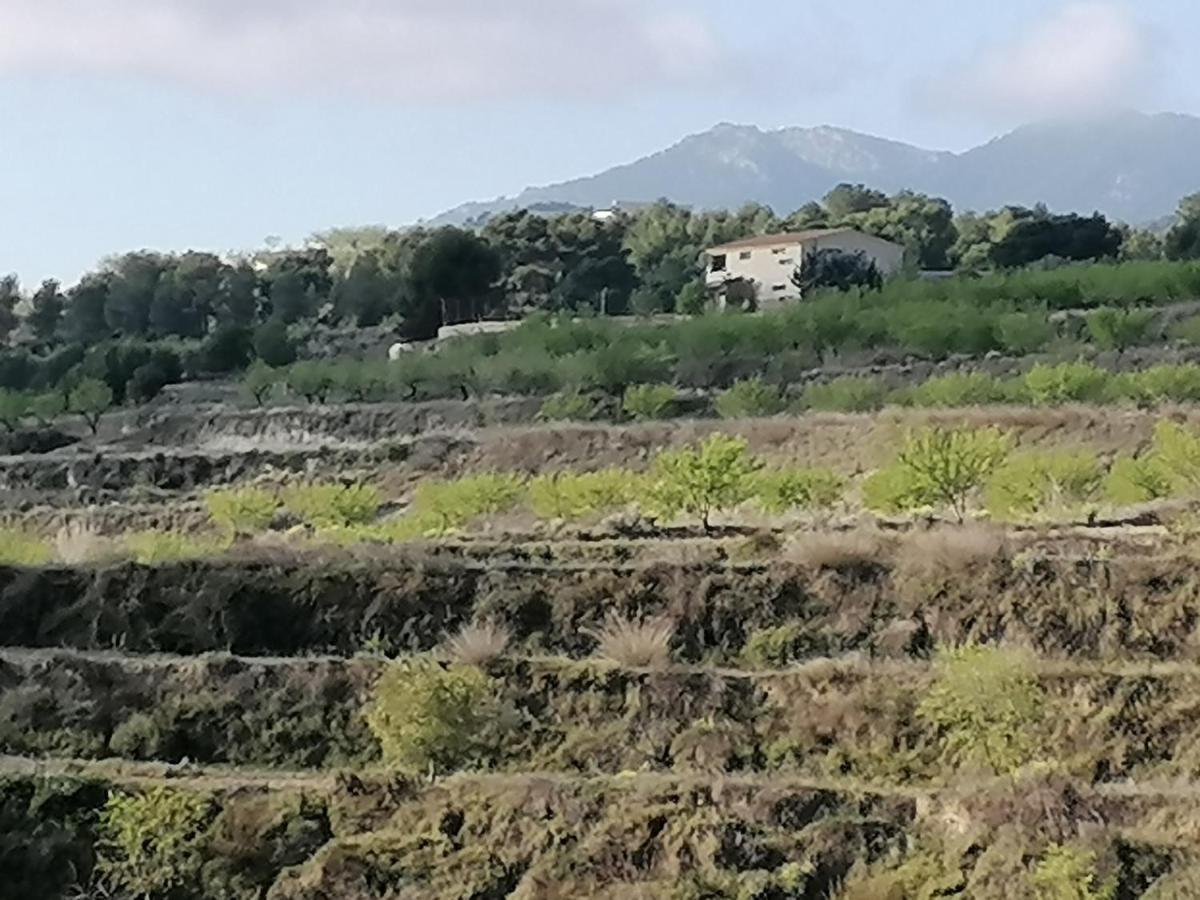 Habitaciones En Finca Olivo Y Almendro Ucenda Kültér fotó