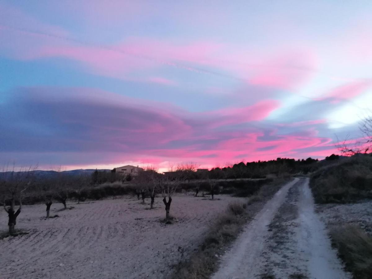 Habitaciones En Finca Olivo Y Almendro Ucenda Kültér fotó